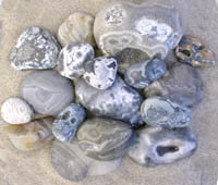 Sample photo of some spectacular rough  agates as found on the beach winter 1998-2000