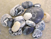 Sample Photo of Newport black agates as found on the beach winter 1998-2000